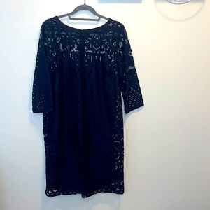 Loft Dress Back Zip Lace Long Sleeve Navy Blue Size 12